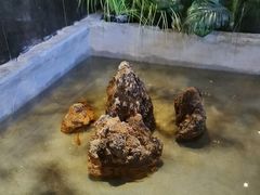 -蓉和妈妈菜·芙蓉花开(高新店)