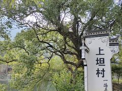 -上坦村
