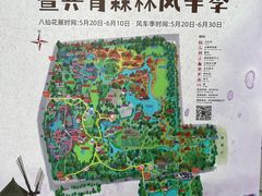 -上海共青森林公园