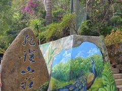 -西双版纳原始森林公园