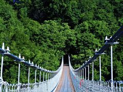 -塔云山