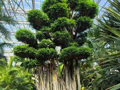 -祥源·阜阳生态乐园