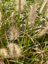 -CICI纤美·科技减肥美容