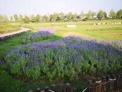 -雅和睿景·商务宴·风味土窑鸡(花博汇店)