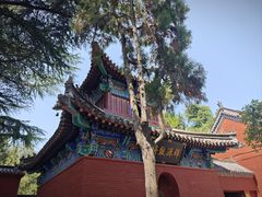 -洛阳白马寺