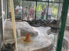 -广东茂名森林公园