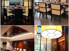 -成都保利公园皇冠假日酒店(熊猫基地店)