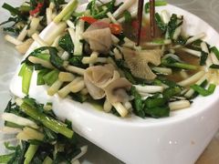 -圣厨牛腩(青春岛社区玉寿苑店)