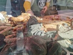 -洪记白水羊头(天坛店)