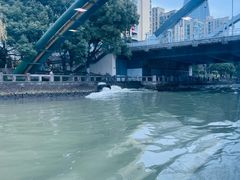 -运河游船(武林门码头)