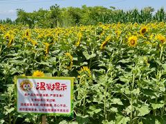 -白鹿原影视城