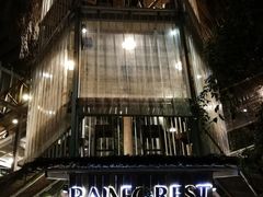 -Rainforest