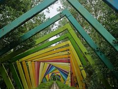 -合肥滨湖国家森林公园