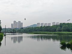 -前关湿地公园
