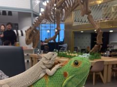 -FAIRYLAND龙族星球主题餐厅(凯丹广场店)