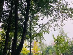 -四川大学(望江校区)