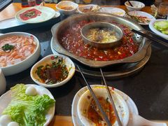 -一斗火锅·招财羊毛肚(北温泉九号店)