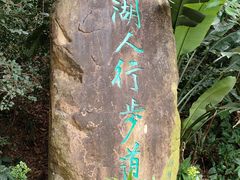 -深圳仙湖植物园