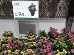 -鹿岛会员店 (龙湖三千集天街店)