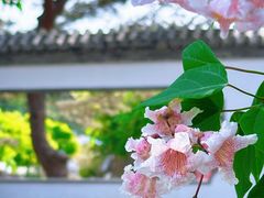 -国家植物园