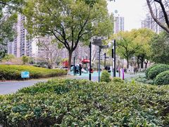 -苏州河梦清园环保主题公园