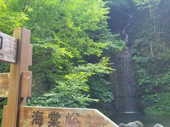 -野三坡百里峡景区