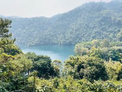 -鼎湖山风景区
