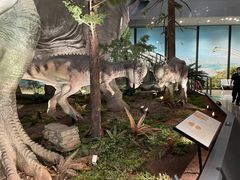 -湖南省地质博物馆