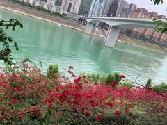-乌江画廊(彭水苗族土家族自治县)