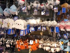 -香港海洋公园