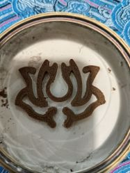 -雅极坞国潮SPA轻养馆