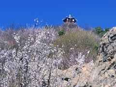 -北京鹫峰国家森林公园