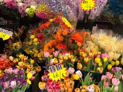 -越秀西湖花市(广州城市广场花卉店)