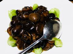 -瓦库茶馆17号(海汇港店)