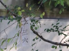 -苏州本色美术馆