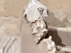 -洛阳周王城天子驾六博物馆