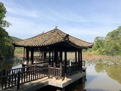 -老木棉·匠园