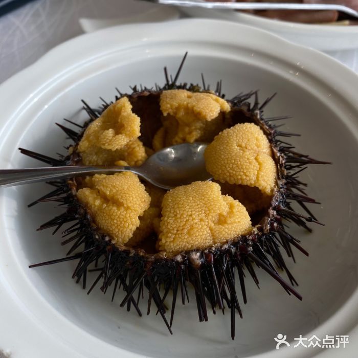 奕景海鲜(星海广场店)海胆图片