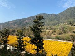 -广州市流溪河国家森林公园