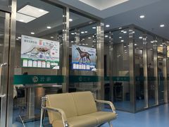 -万博宠物医院·手术·诊疗(未央凤城五路店)