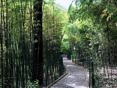 -四门塔风景区