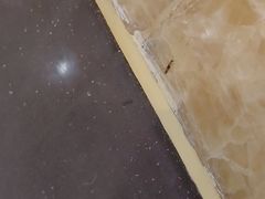 -兴芮温泉度假区