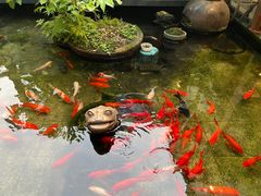 -野蔓果·山野菜(西湖景区·龙井茶田店)