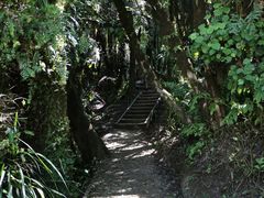 -怀托摩萤火虫洞