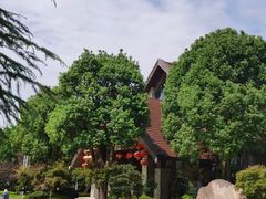 -铁山坪森林公园