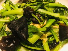 -风波庄(罍街分舵)