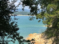 -广州市流溪河国家森林公园