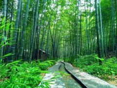 -渡海小渔村.老辈日照菜