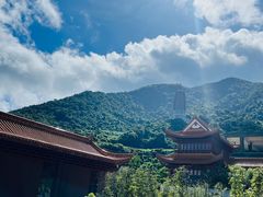 -深圳仙湖植物园