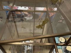 -星巴克臻选(成都宽窄巷子店)